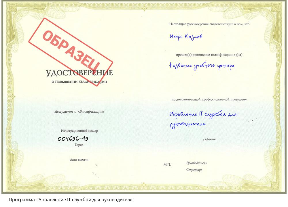 Управление IT службой для руководителя Азнакаево