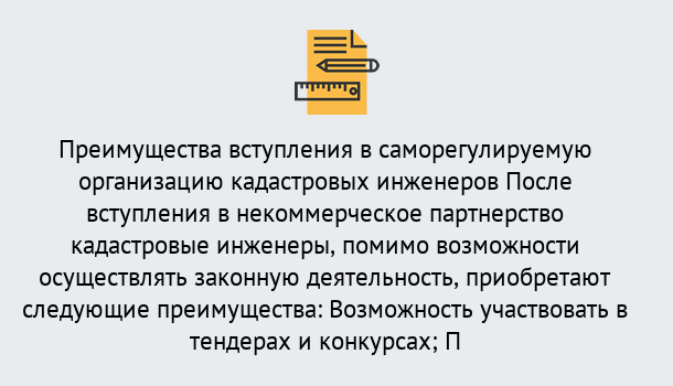 Почему нужно обратиться к нам? Азнакаево Что дает допуск СРО кадастровых инженеров?