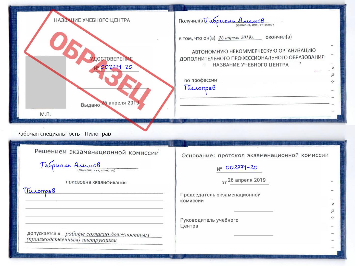 Пилоправ Азнакаево