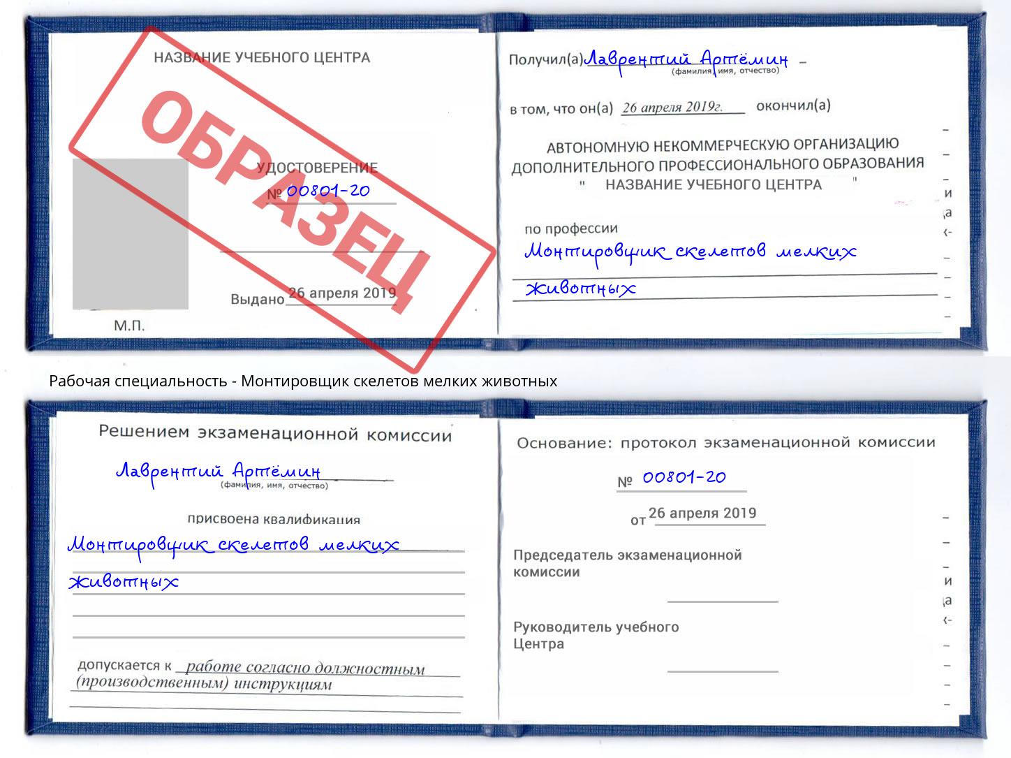 Монтировщик скелетов мелких животных Азнакаево