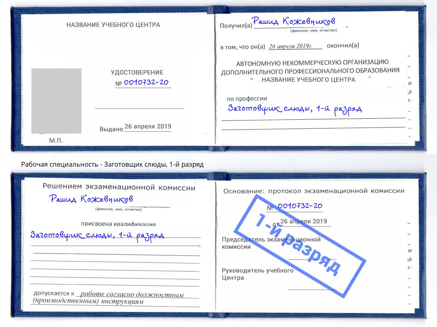 корочка 1-й разряд Заготовщик слюды Азнакаево